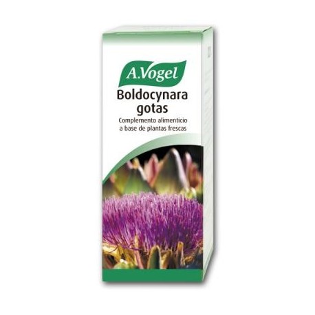 BOLDOCYNARA GOTAS A.VOGEL