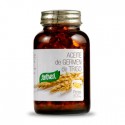 Aceite  de Germen de Trigo 120 Perlas  Santiveri