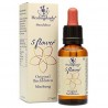 5 FLOWERS ORIGINAL BACH FLOWER COMBINATION 30 ML HEALING HERBS