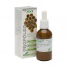 PROPÓLEO EXTRACTO NATURAL 50 ML SORIA NATURAL