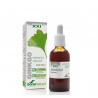 Ginkgo biloba extracto natural de soria natural