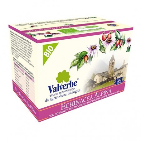 ECHINACEA ALPINA (EQUINÁCEA) BIO 20 INFUSIONES VALVERBE