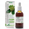 CASTAÑO DE INDIAS 50 ML SORIA NATURAL - 