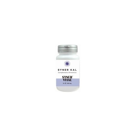 ¡OFERTA! SYNER KAL 90 CÁPSULAS 500 MG SYNER VITAL - 