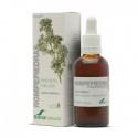Rompepiedras extracto natural de Soria Natural 50 ml