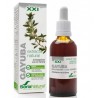 Gayuba    extracto    natural   de   Soria    natural - 