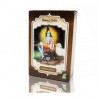 HENNA CASTAÑO INTENSO  100GR RADHE SHYAM - 