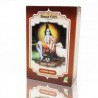 HENNA  polvo  CASTAÑO MEDIO  100GR RADHE SHYAM - 