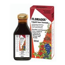 Floradix  500 Ml    Salus