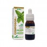 Composor  13 Oxiur Complex   Soria Natural - 