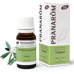 aceite-esencial-cajeput-10ml-bio-pranarom-melaleuca-cajuputi-antiseptico-respiratorio-muscular-suplemento-purificante