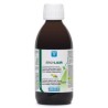 ERGYLIXIR 250 ML NUTERGIA - 