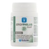 ERGYPHILUS CONF   60 COMPRIMIDOS  NUTERGIA - 
