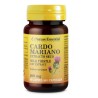 CARDO MARIANO 200 MG 50 CÁPSULAS NATURE ESSENTIAL - 