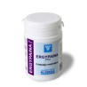 Ergypaina plus  60 Cápsulas Nutergia - 