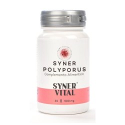 SYNER POLYPORUS 60 CÁPSULAS 760 MG SYNERVITAL - 