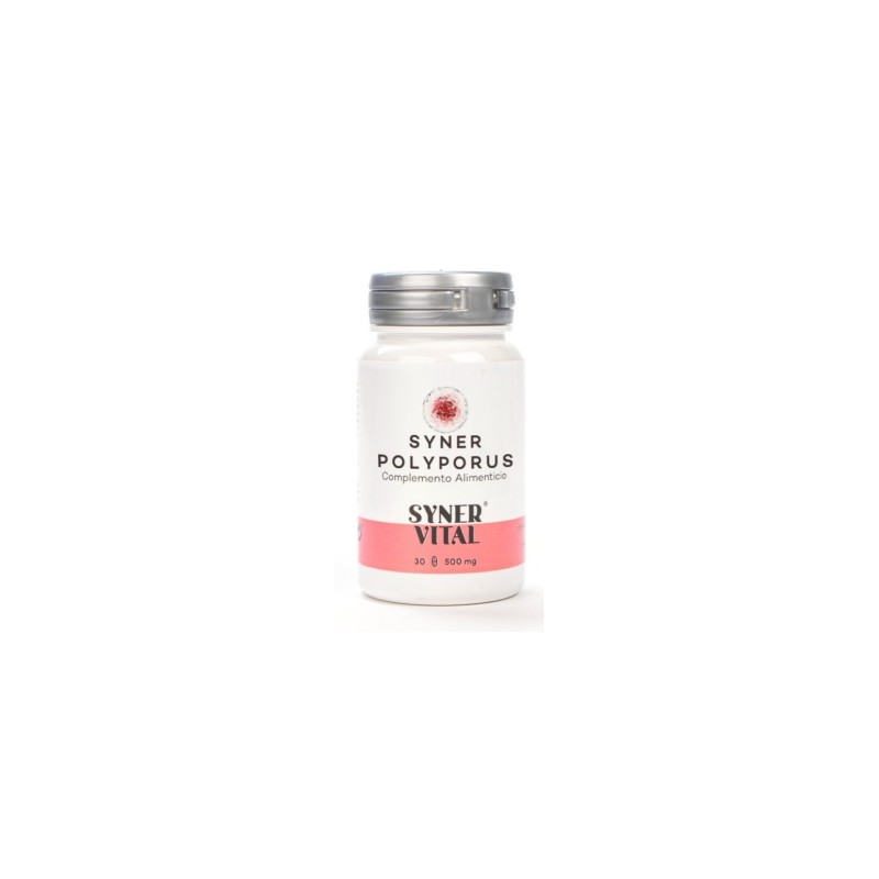 SYNER POLYPORUS 60 CÁPSULAS 760 MG SYNERVITAL - SYNER POLYPORUS 60 CÁPSULAS 760 MG SYNERVITAL -