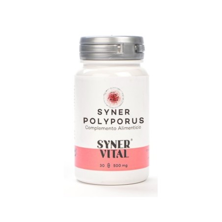 SYNER POLYPORUS 60 CÁPSULAS 760 MG SYNERVITAL - 