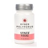 SYNER POLYPORUS 60 CÁPSULAS 760 MG SYNERVITAL - 