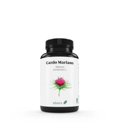 CARDO MARIANO 60COMPRIMIDOS ebers