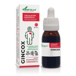 gincox-composor-41-soria-natural-concentracion-memoria-ginkgo-biloba-sin-alcohol