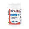 ergycardio-forte-nutergia-salud-cardiovascular-ajo-blanco-coenzima-q10-antioxidante