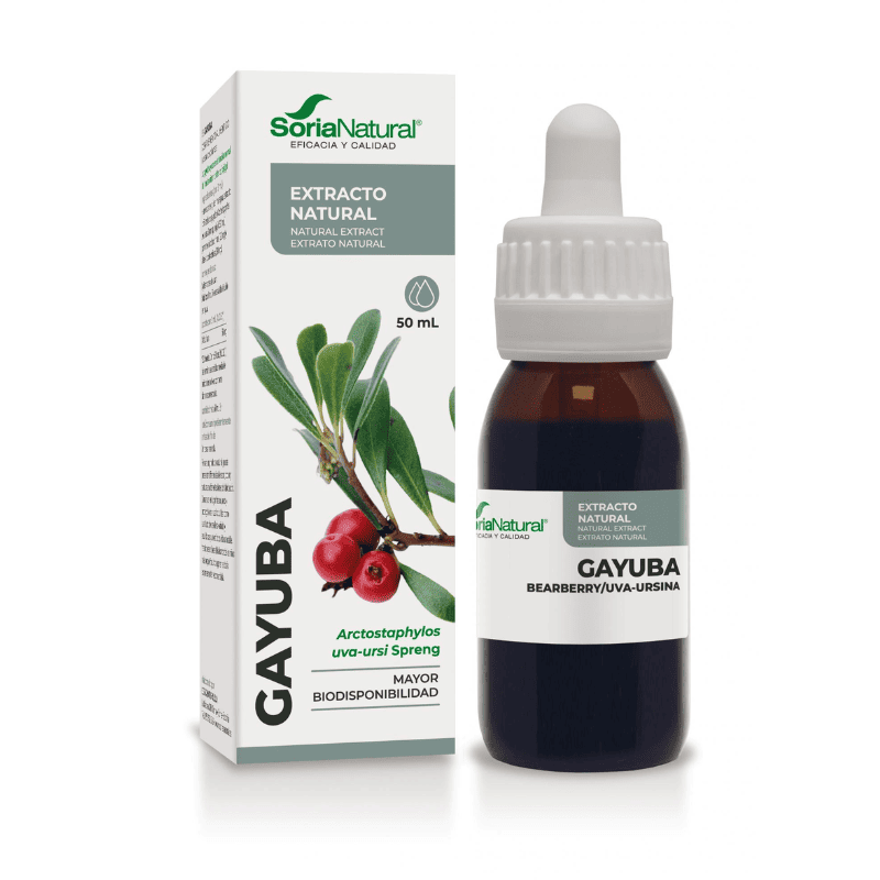 gayuba-extracto-soria-natural-bienestar-urinario-antiseptico-natural-cistitis-arbutina-ciclodextrinas