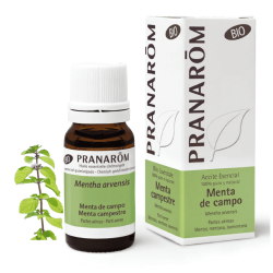 aceite-esencial-menta-de-campo-10ml-bio-pranarom-mentha-arvensis-mentol-analgesico-digestivo-quemaduras-solares-piernas-cansadas