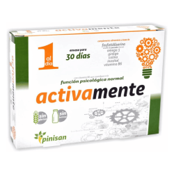 activamente-30-capsulas-pinisan-memoria-concentracion-ginkgo-biloba-omega-3-fosfatidilserina-bienestar-cognitivo