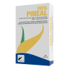 fepa-pineal-40-capsulas-fepadiet-gaba-l-teanina-grifonia-amapola-california-vitamina-b6-sistema-nervioso-relax-bienestar-mental