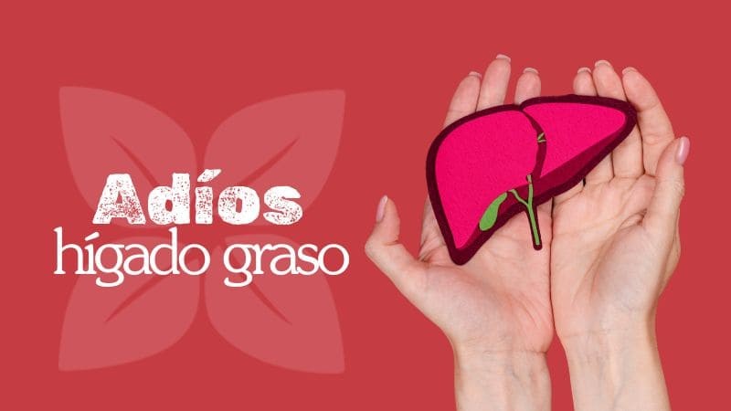 Hígado graso: Guía natural