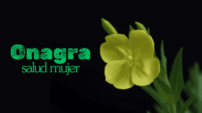 El Secreto de la Onagra