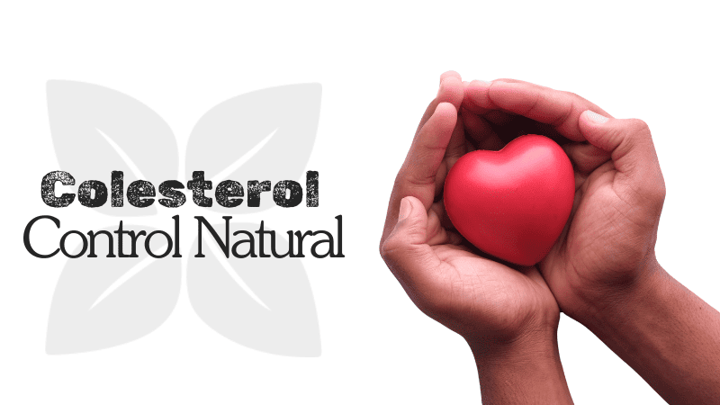 Colesterol: Control Natural